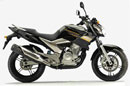 FazerYS250-4M